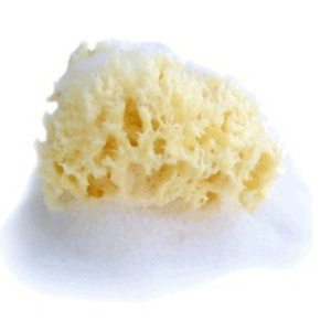 California Baby Natural Wool 3-4 Sea Sponge