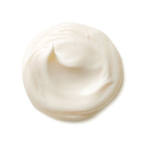 Shiseido Benefiance WrinkleResist24 Day Cream